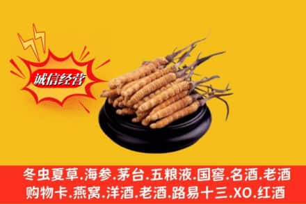 桂林临桂区求购回收虫草多少钱每克